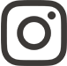 icon instagram